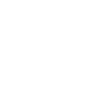 n8 shield